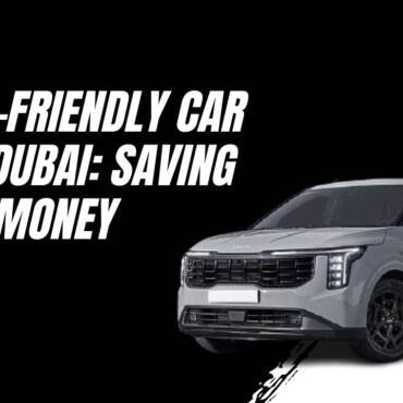 Budget-Friendly Car Lift